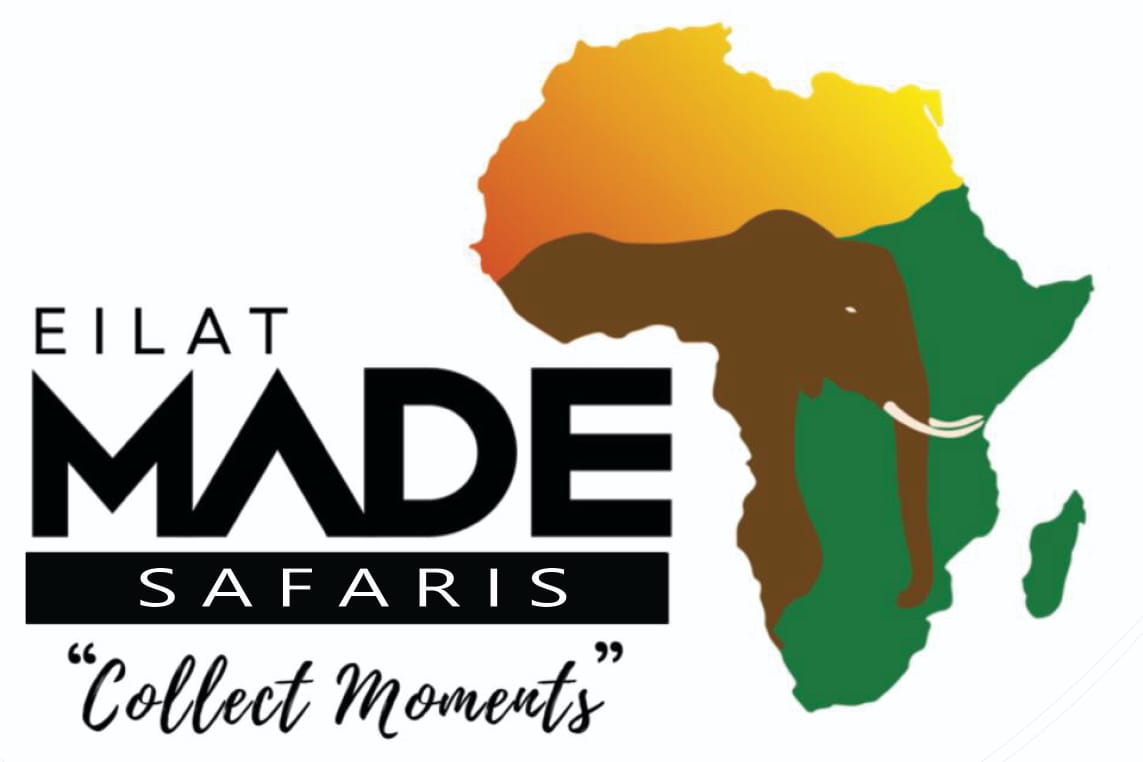 Eliate Made Safaris